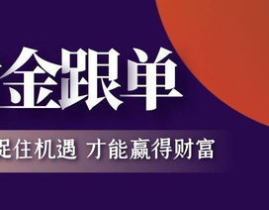黄金跟单,揭秘投资界的风向标与盈利秘诀