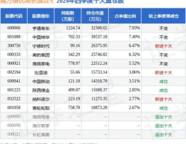 南方绩优基金净值,引领市场投资新风向