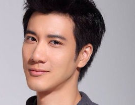 郑伊健个人资料简介,从偶像到实力派，华语乐坛的永恒星光